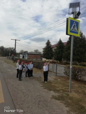 На пешеходном переходе